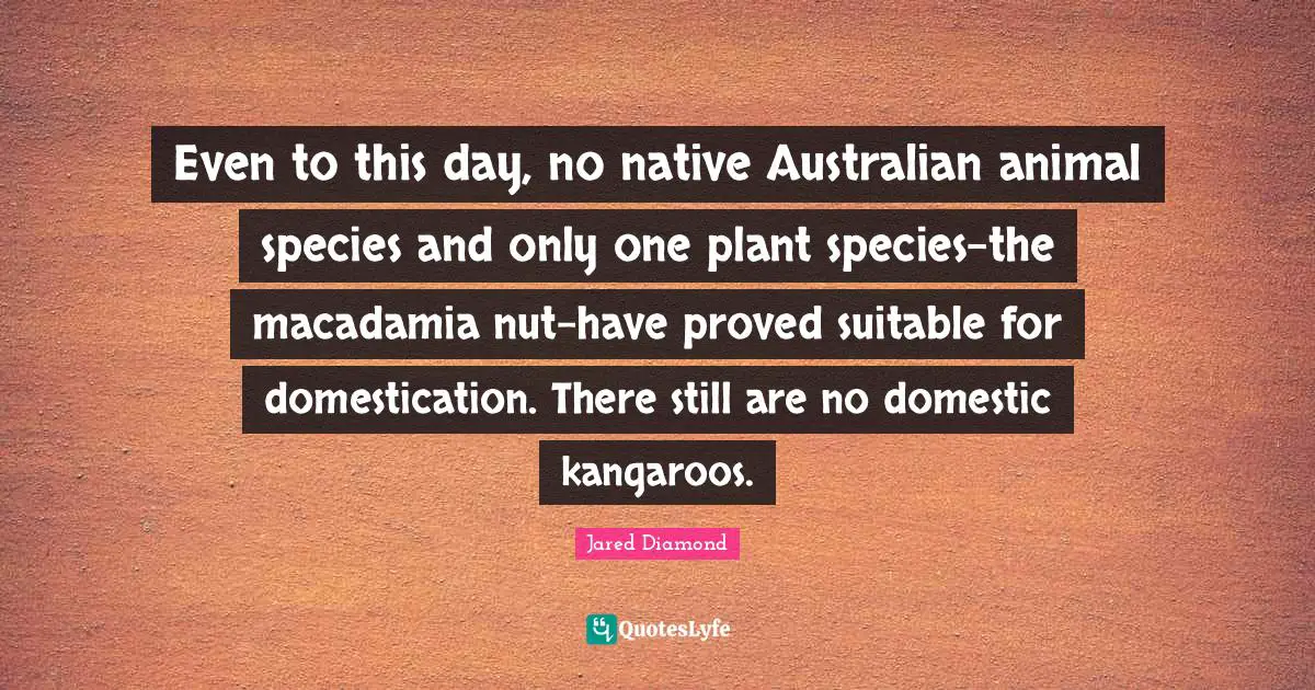 Jared Diamond Quotes: "Even to this day, no native Australian animal species and only one plant species-the macadamia nut-have proved suitable for domestication. There still are no domestic kangaroos."