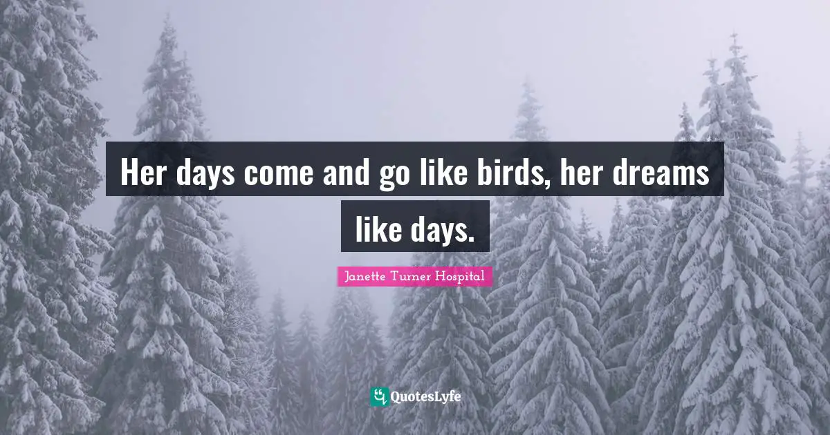 Her days come and go like birds, her dreams like days.