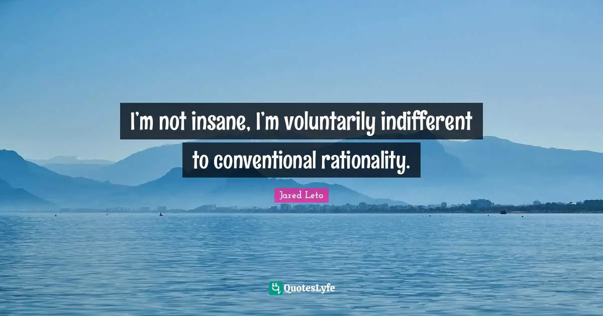 I’m not insane, I’m voluntarily indifferent to conventional rationality.