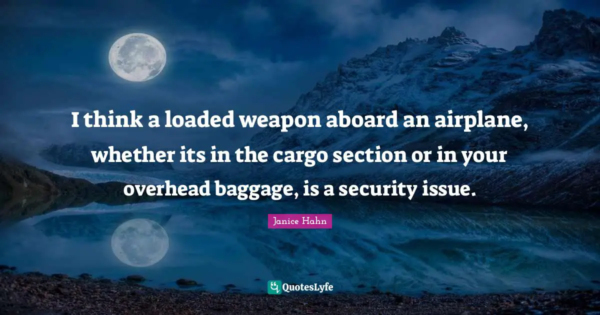 I think a loaded weapon aboard an airplane, whether its in the cargo section or in your overhead baggage, is a security issue.