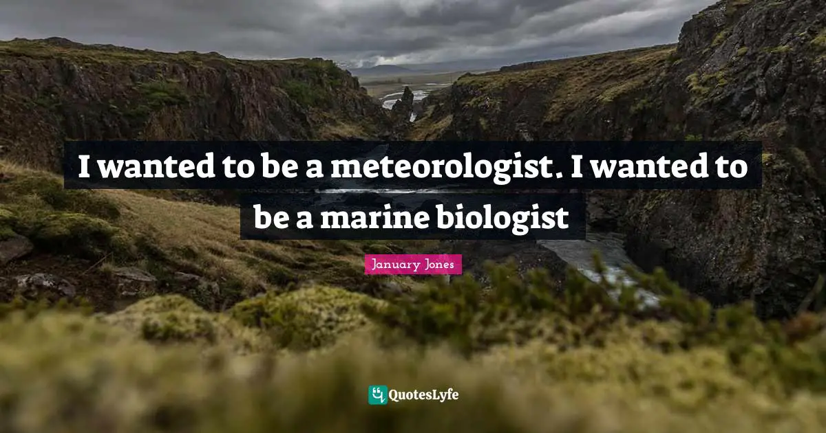 I wanted to be a meteorologist. I wanted to be a marine biologist