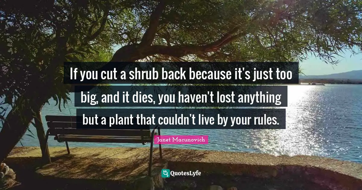 If you cut a shrub back because it's just too big, and it dies, you haven't lost anything but a plant that couldn't live by your rules.