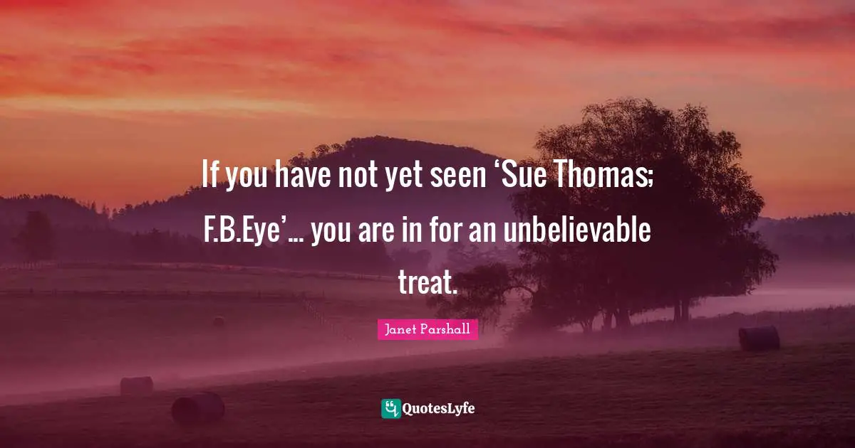 If you have not yet seen ‘Sue Thomas; F.B.Eye’... you are in for an unbelievable treat.