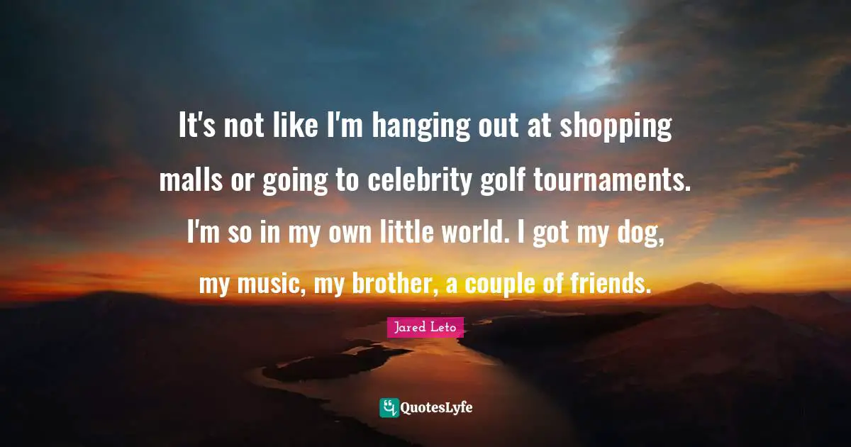 It's not like I'm hanging out at shopping malls or going to celebrity golf tournaments. I'm so in my own little world. I got my dog, my music, my brother, a couple of friends.