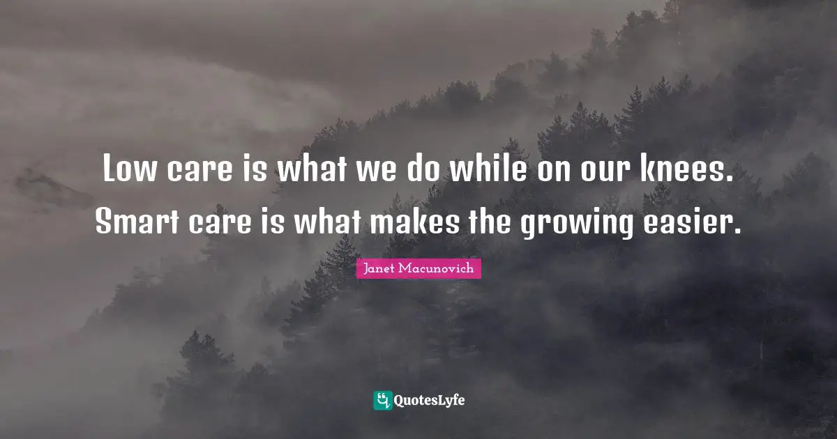 Low care is what we do while on our knees. Smart care is what makes the growing easier.