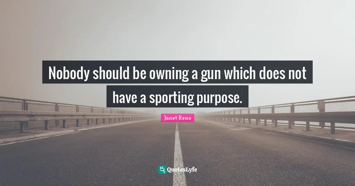 Nobody should be owning a gun which does not have a sporting purpose.