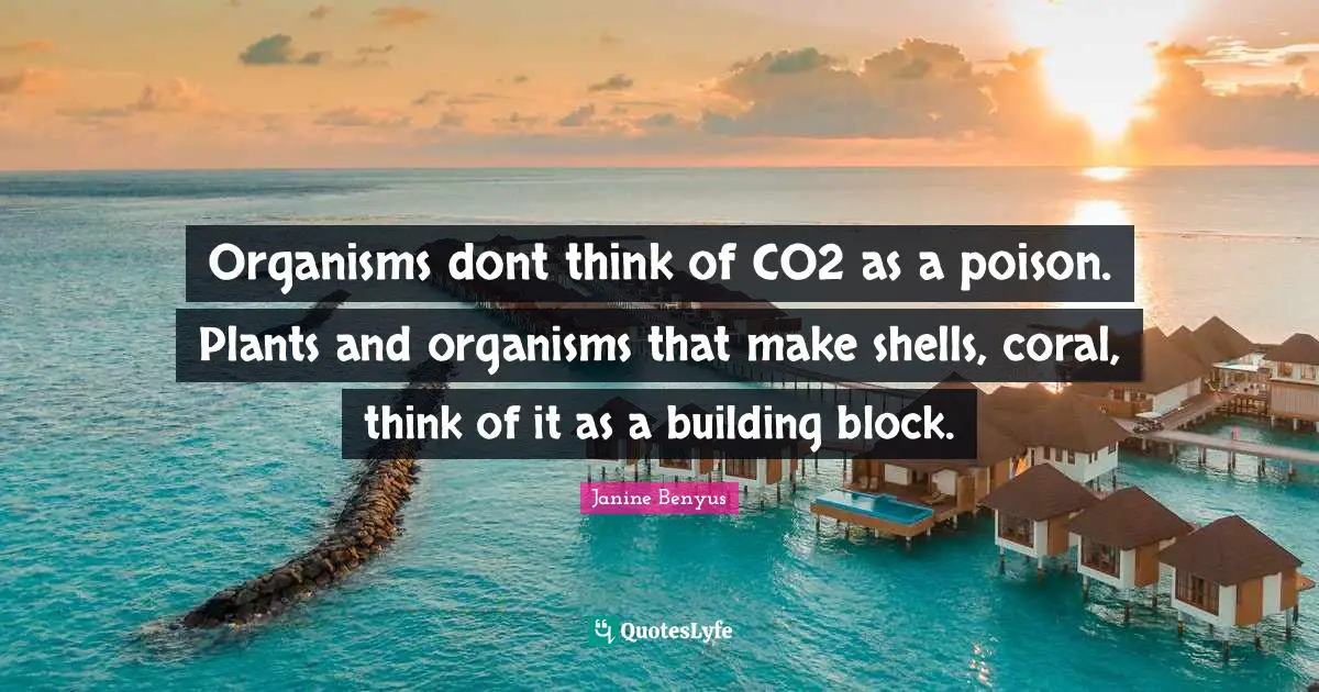 Janine Benyus Quotes: Organisms dont think of CO2 as a poison. Plants and organisms that make shells, coral, think of it as a building block.