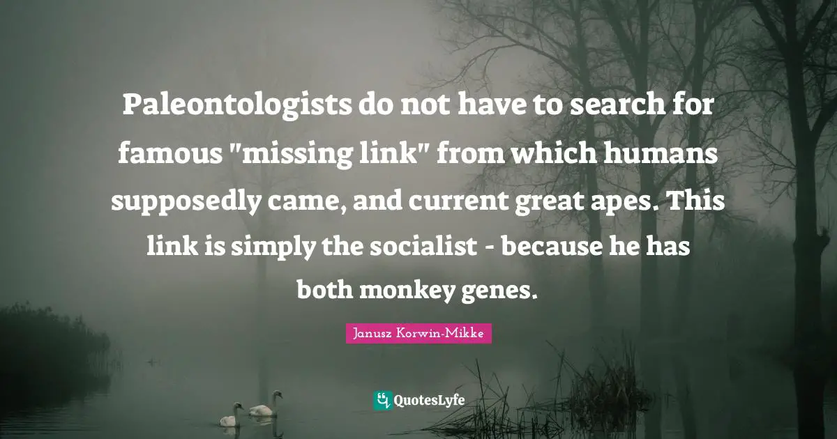 Paleontologists do not have to search for famous "missing link" from which humans supposedly came, and current great apes. This link is simply the socialist - because he has both monkey genes.