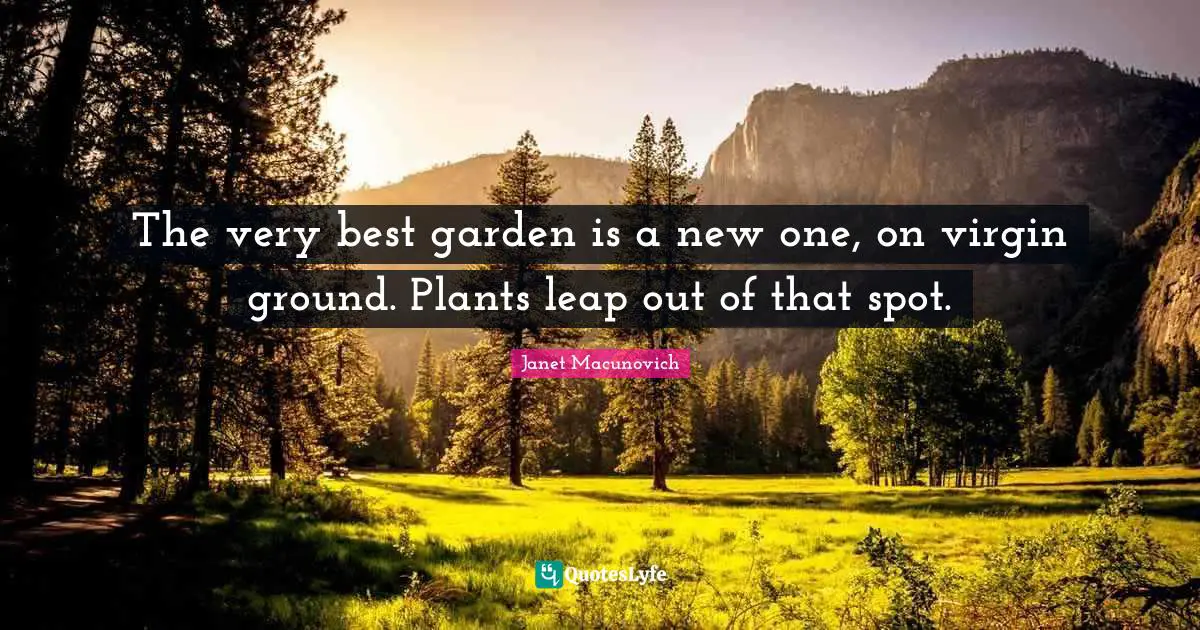 The very best garden is a new one, on virgin ground. Plants leap out of that spot.