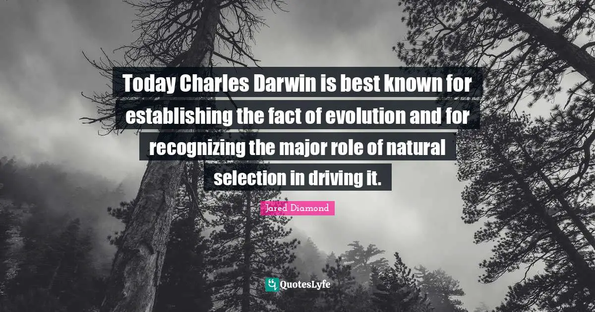 Jared Diamond Quotes: "Today Charles Darwin is best known for establishing the fact of evolution and for recognizing the major role of natural selection in driving it."