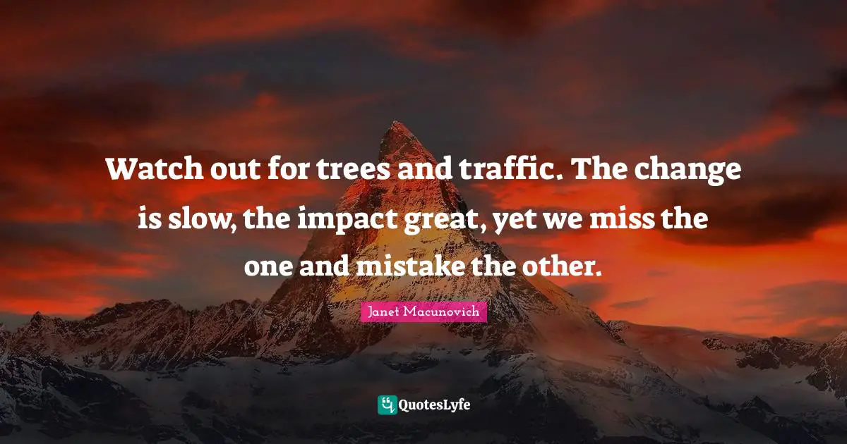 Watch out for trees and traffic. The change is slow, the impact great, yet we miss the one and mistake the other.
