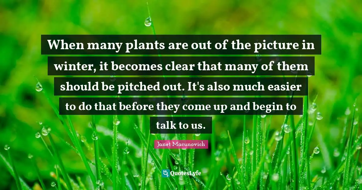 When many plants are out of the picture in winter, it becomes clear that many of them should be pitched out. It's also much easier to do that before they come up and begin to talk to us.