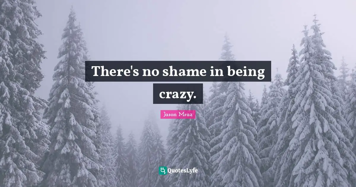 Jason Mraz Quotes: "There's no shame in being crazy."