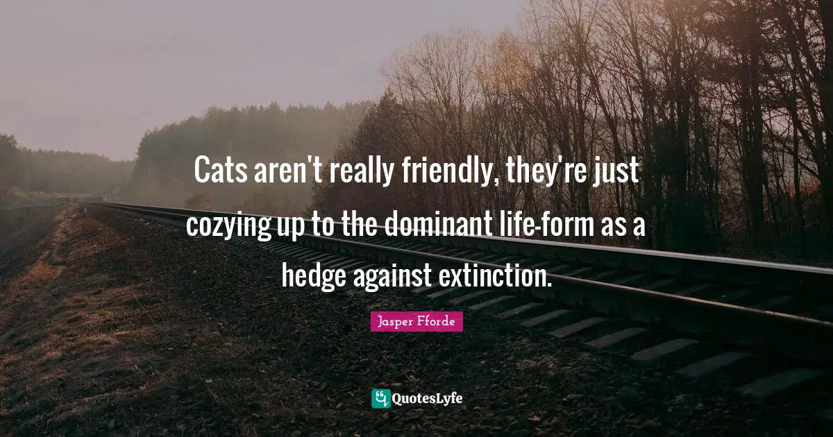 Cats aren't really friendly, they're just cozying up to the dominant life-form as a hedge against extinction.