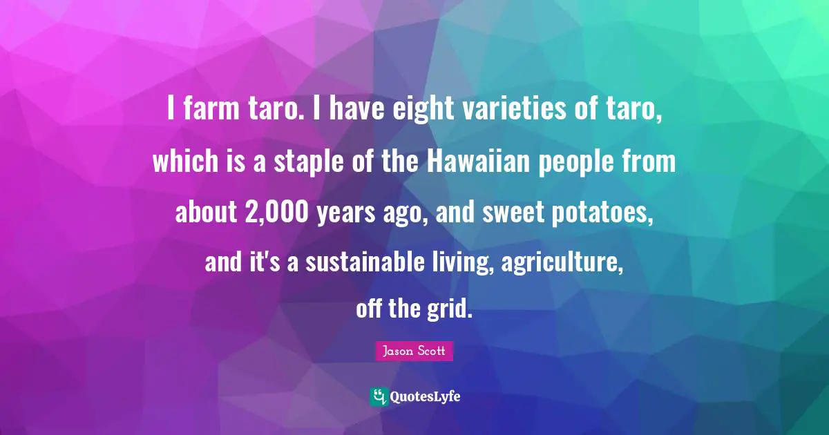 I farm taro. I have eight varieties of taro, which is a staple of the Hawaiian people from about 2,000 years ago, and sweet potatoes, and it's a sustainable living, agriculture, off the grid.