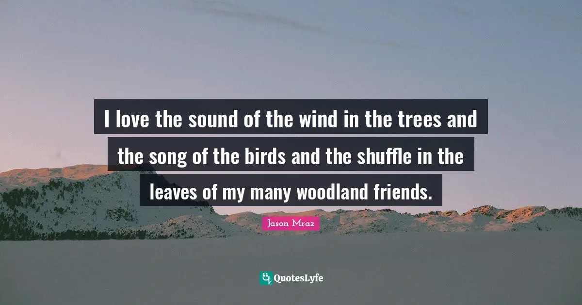 Jason Mraz Quotes: "I love the sound of the wind in the trees and the song of the birds and the shuffle in the leaves of my many woodland friends."