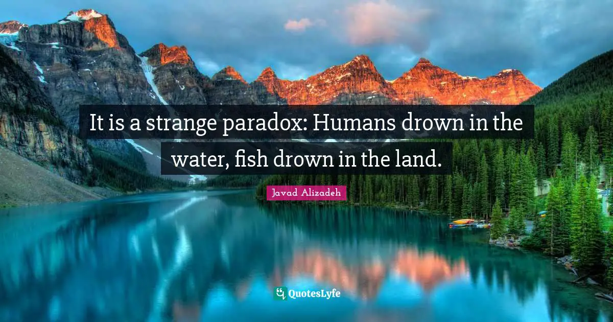Javad Alizadeh Quotes: "It is a strange paradox: Humans drown in the water, fish drown in the land."