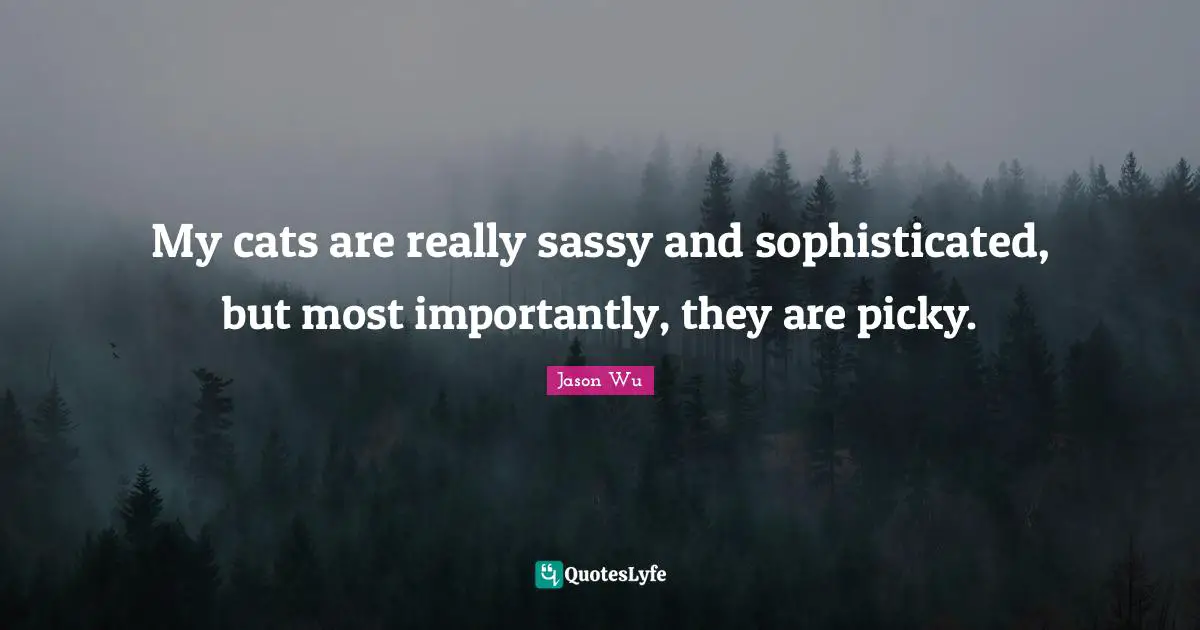 My cats are really sassy and sophisticated, but most importantly, they are picky.