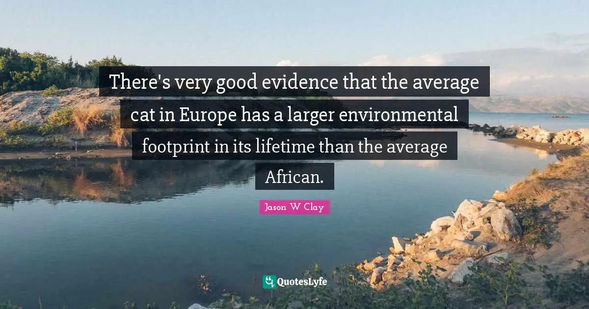 There's very good evidence that the average cat in Europe has a larger environmental footprint in its lifetime than the average African.