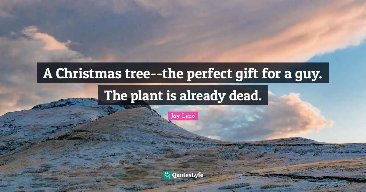 A Christmas tree--the perfect gift for a guy. The plant is already dead.
