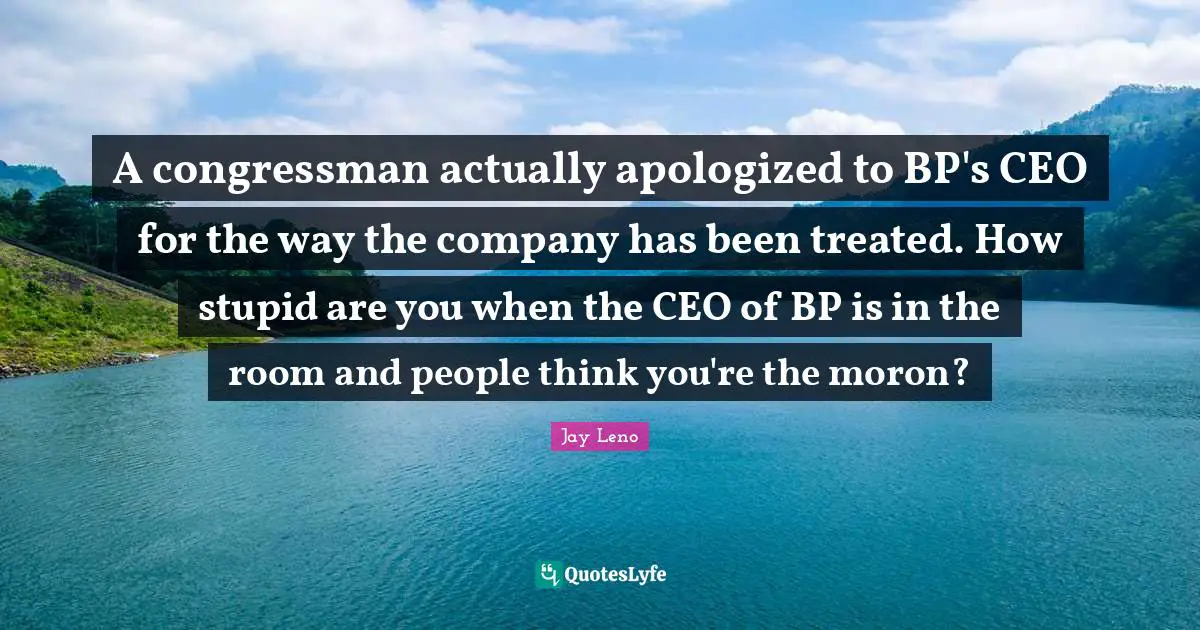 A congressman actually apologized to BP's CEO for the way the company has been treated. How stupid are you when the CEO of BP is in the room and people think you're the moron?