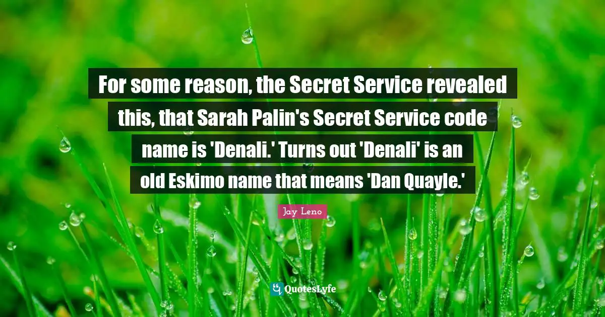 For some reason, the Secret Service revealed this, that Sarah Palin's Secret Service code name is 'Denali.' Turns out 'Denali' is an old Eskimo name that means 'Dan Quayle.'