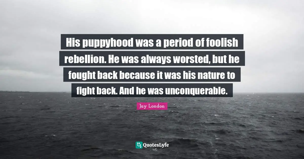His puppyhood was a period of foolish rebellion. He was always worsted, but he fought back because it was his nature to fight back. And he was unconquerable.
