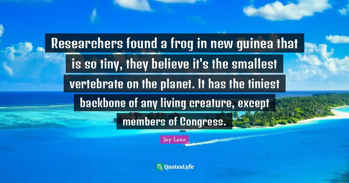 Researchers found a frog in new guinea that is so tiny, they believe it's the smallest vertebrate on the planet. It has the tiniest backbone of any living creature, except members of Congress.