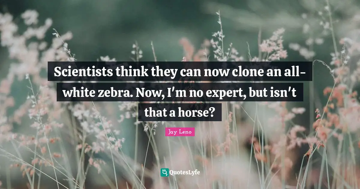 Jay Leno Quotes: "Scientists think they can now clone an all-white zebra. Now, I'm no expert, but isn't that a horse?"