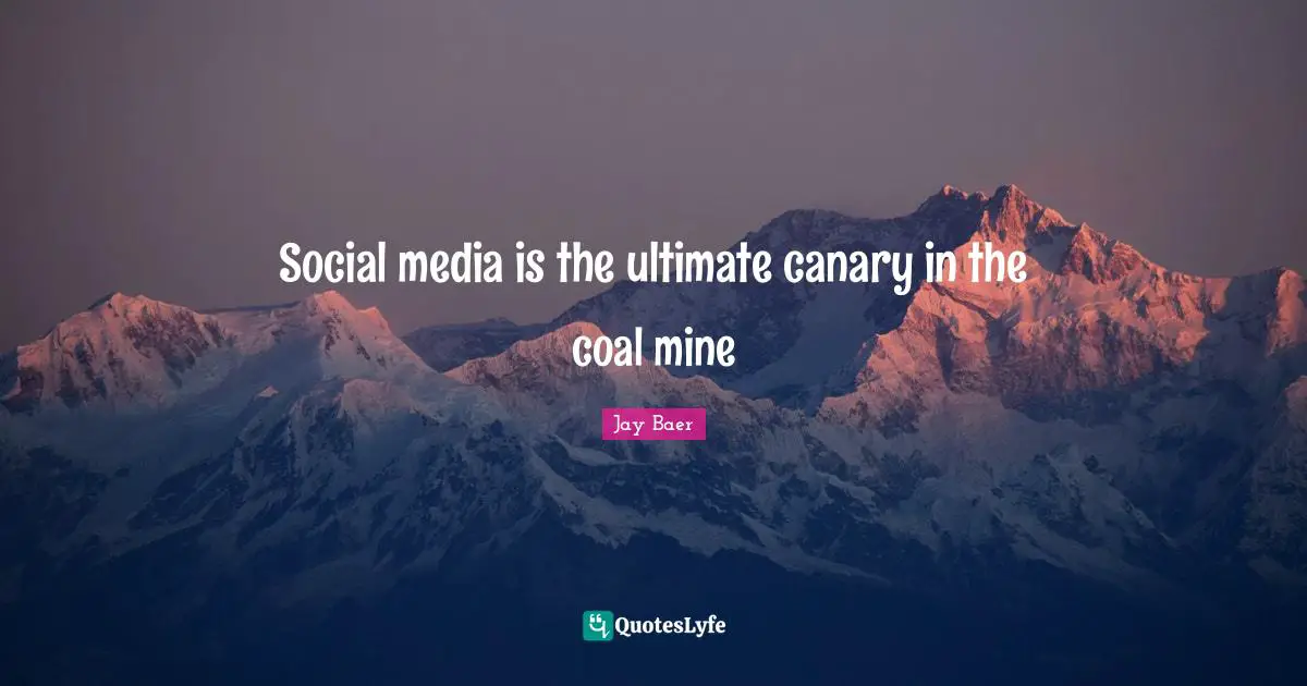 Social media is the ultimate canary in the coal mine
