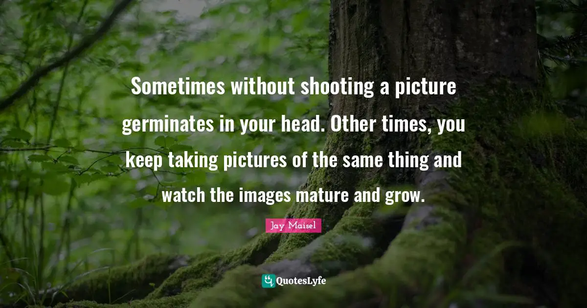 Sometimes without shooting a picture germinates in your head. Other times, you keep taking pictures of the same thing and watch the images mature and grow.