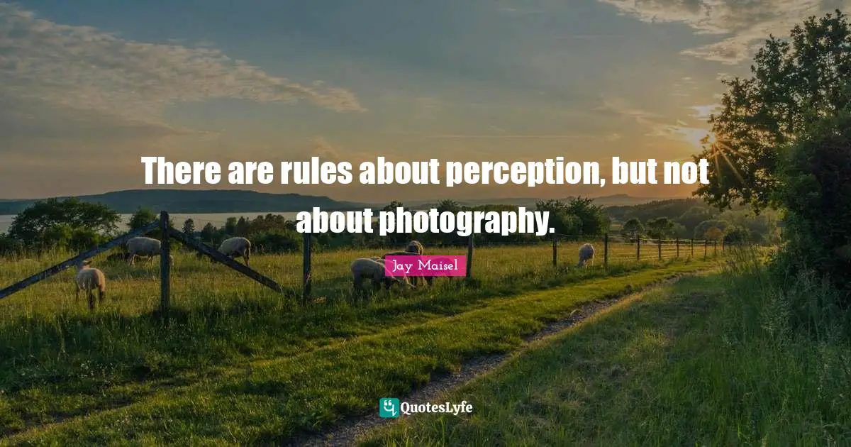 There are rules about perception, but not about photography.