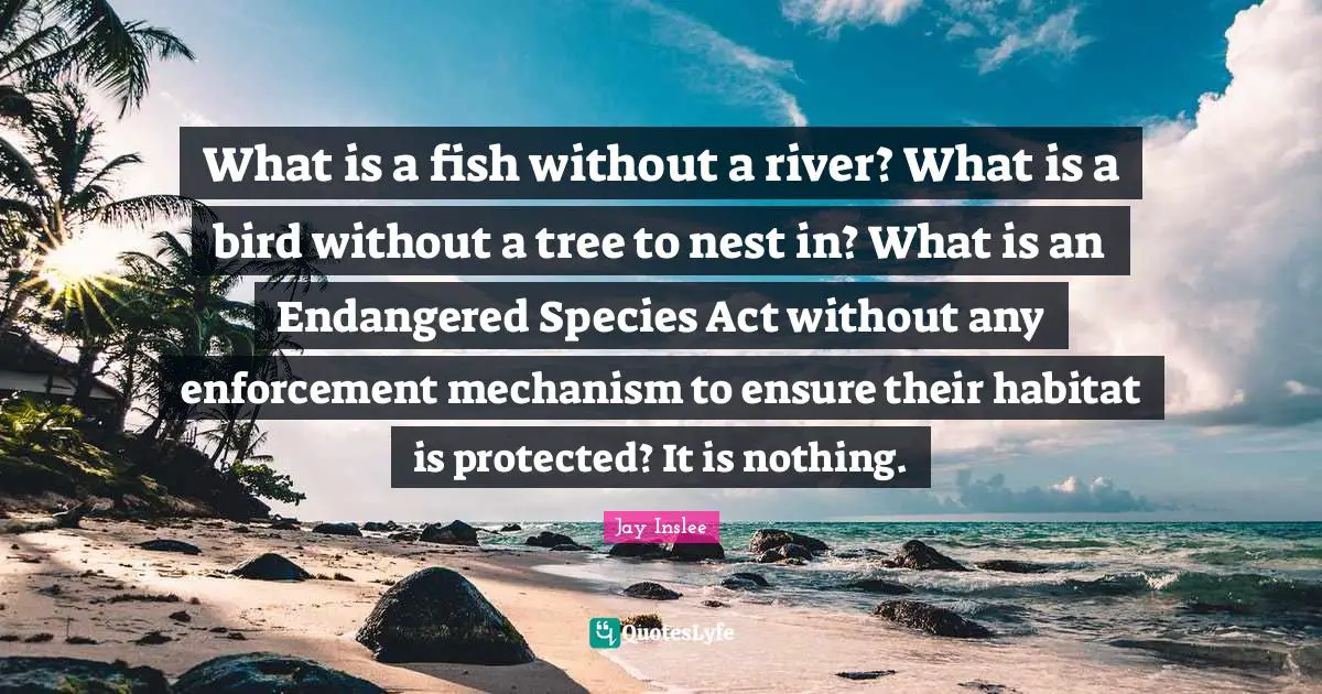 What is a fish without a river? What is a bird without a tree to nest in? What is an Endangered Species Act without any enforcement mechanism to ensure their habitat is protected? It is nothing.