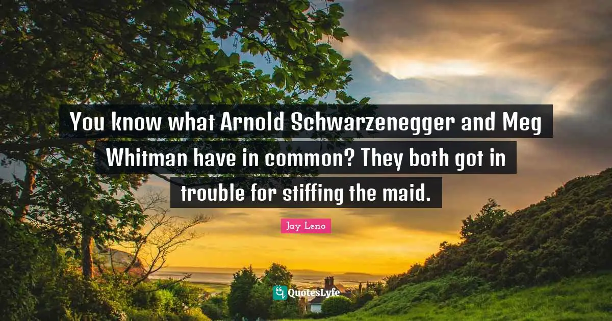 You know what Arnold Schwarzenegger and Meg Whitman have in common? They both got in trouble for stiffing the maid.