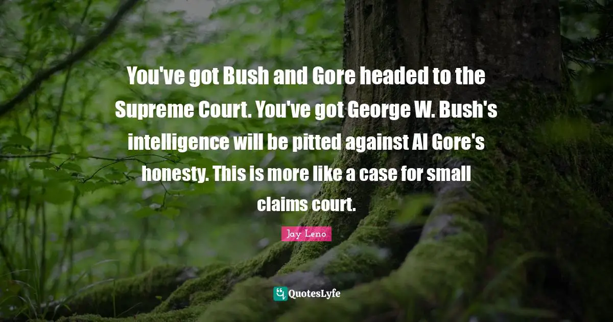 You've got Bush and Gore headed to the Supreme Court. You've got George W. Bush's intelligence will be pitted against Al Gore's honesty. This is more like a case for small claims court.