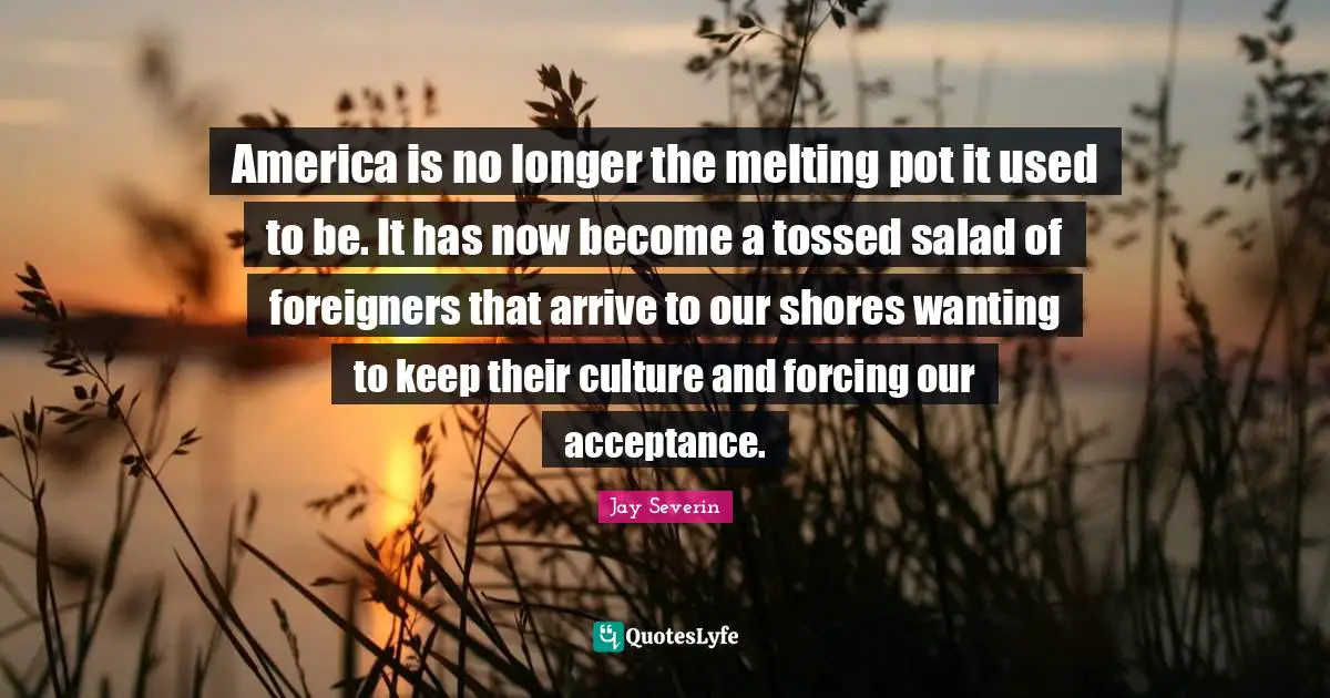 America is no longer the melting pot it used to be. It has now become a tossed salad of foreigners that arrive to our shores wanting to keep their culture and forcing our acceptance.