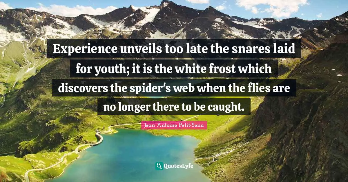 Experience unveils too late the snares laid for youth; it is the white frost which discovers the spider's web when the flies are no longer there to be caught.