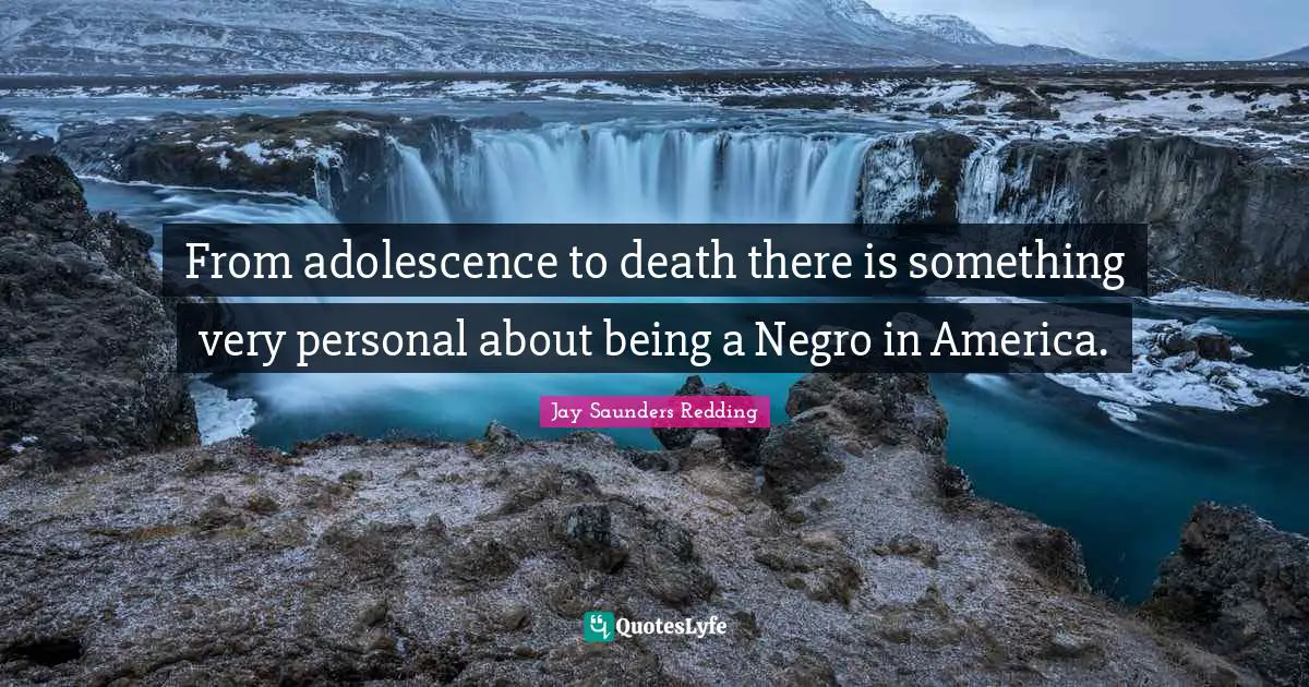 From adolescence to death there is something very personal about being a Negro in America.