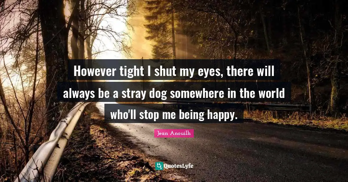 However tight I shut my eyes, there will always be a stray dog somewhere in the world who'll stop me being happy.