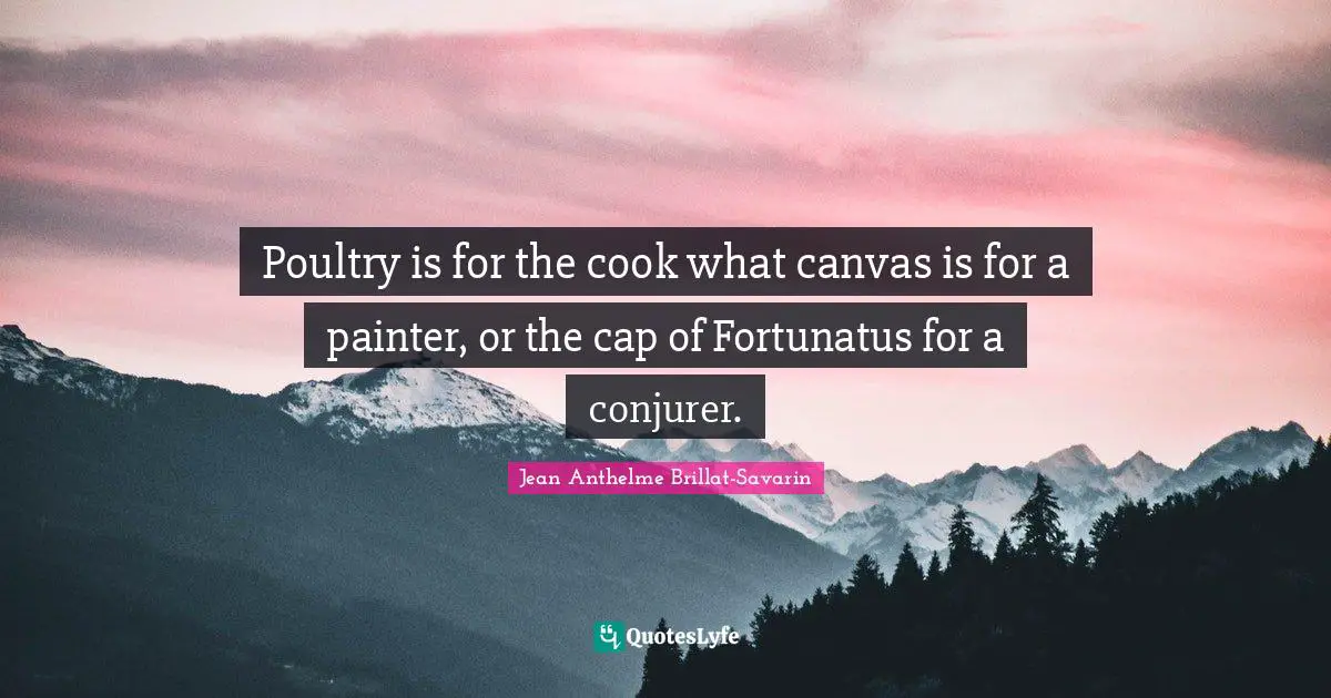 Poultry is for the cook what canvas is for a painter, or the cap of Fortunatus for a conjurer.