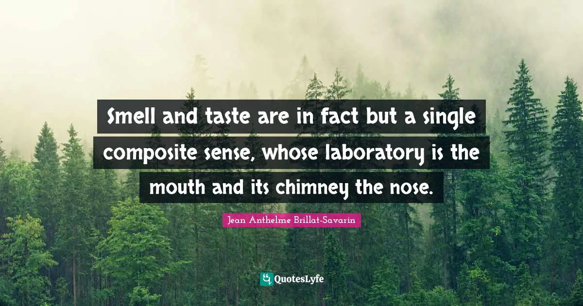 Smell and taste are in fact but a single composite sense, whose laboratory is the mouth and its chimney the nose.