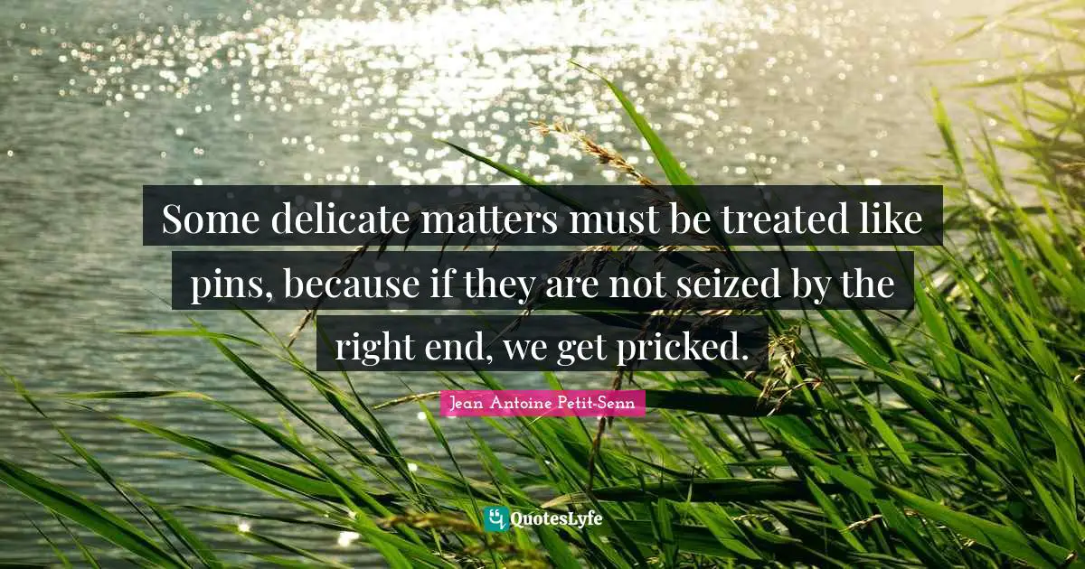 Some delicate matters must be treated like pins, because if they are not seized by the right end, we get pricked.