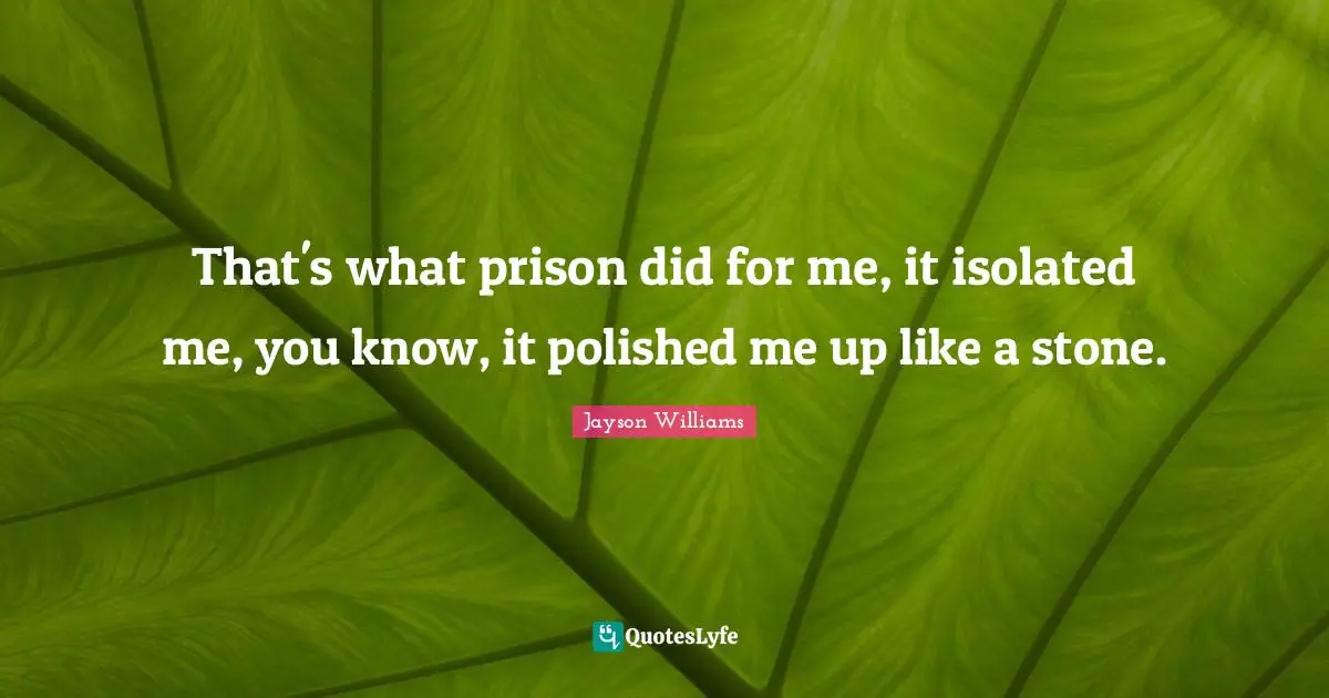Jayson Williams Quotes: "That's what prison did for me, it isolated me, you know, it polished me up like a stone."