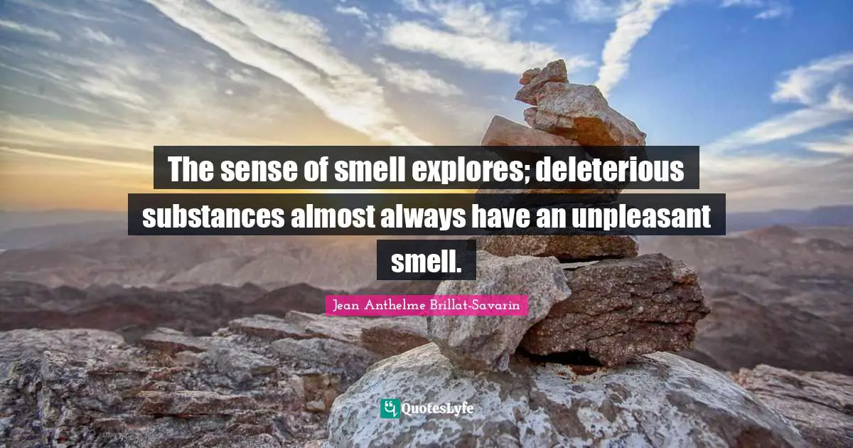 The sense of smell explores; deleterious substances almost always have an unpleasant smell.