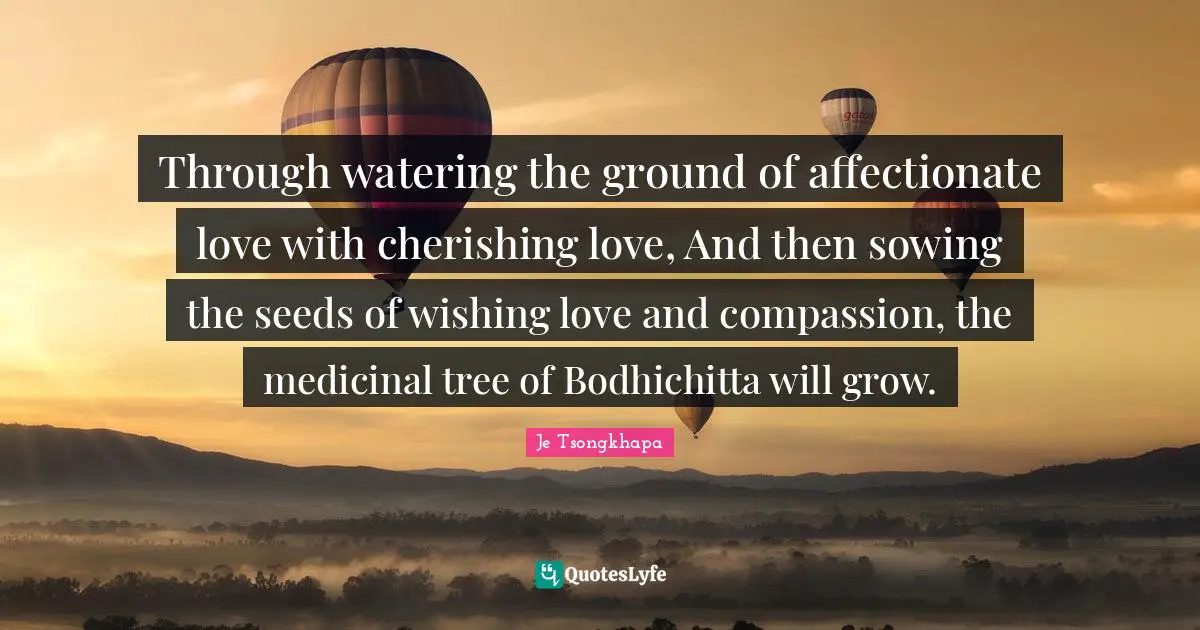 Seeds Quotes: "Through watering the ground of affectionate love with cherishing love, And then sowing the seeds of wishing love and compassion, the medicinal tree of Bodhichitta will grow."