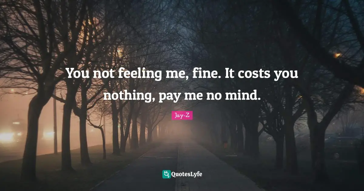 Jay-Z Quotes: You not feeling me, fine. It costs you nothing, pay me no mind.
