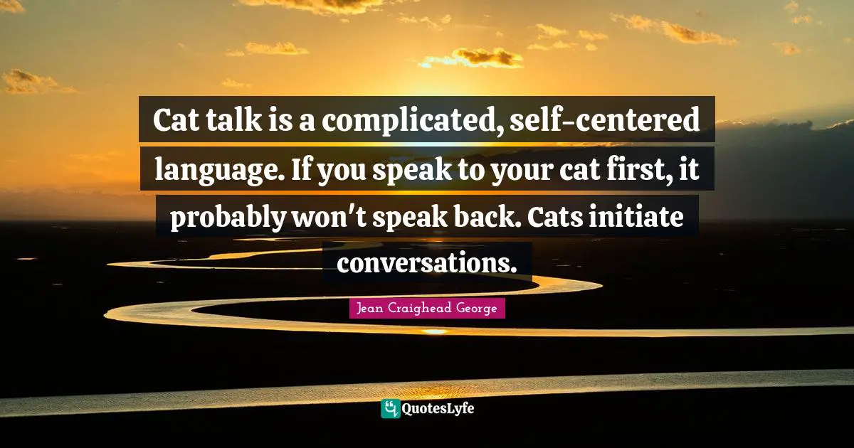 Cat talk is a complicated, self-centered language. If you speak to your cat first, it probably won't speak back. Cats initiate conversations.