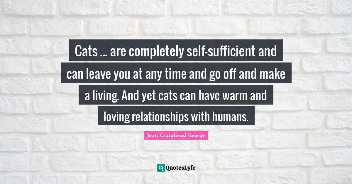 Cats ... are completely self-sufficient and can leave you at any time and go off and make a living. And yet cats can have warm and loving relationships with humans.