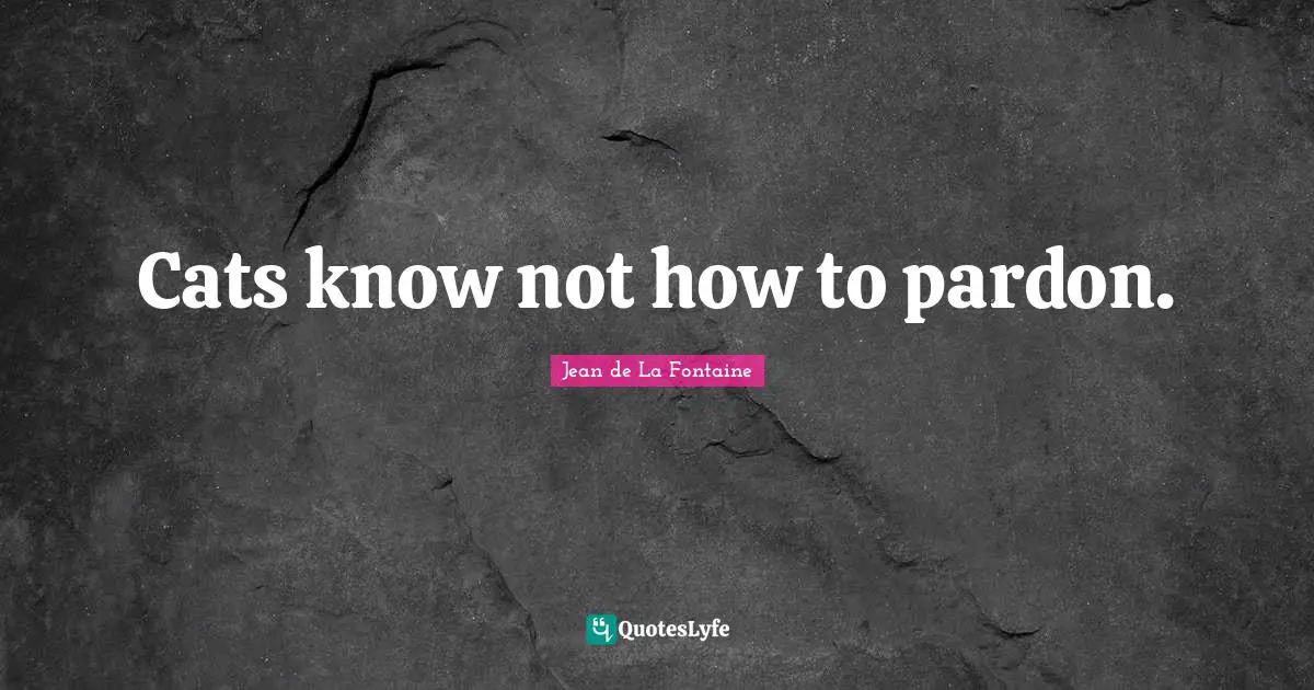 Cats know not how to pardon.