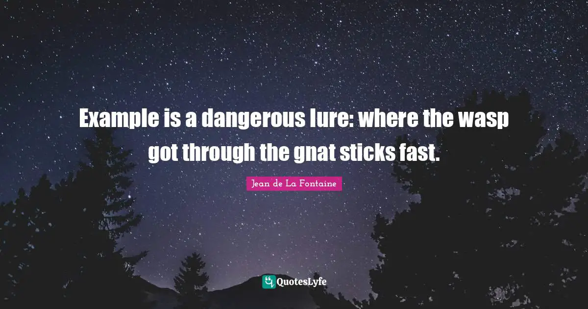 Example is a dangerous lure: where the wasp got through the gnat sticks fast.